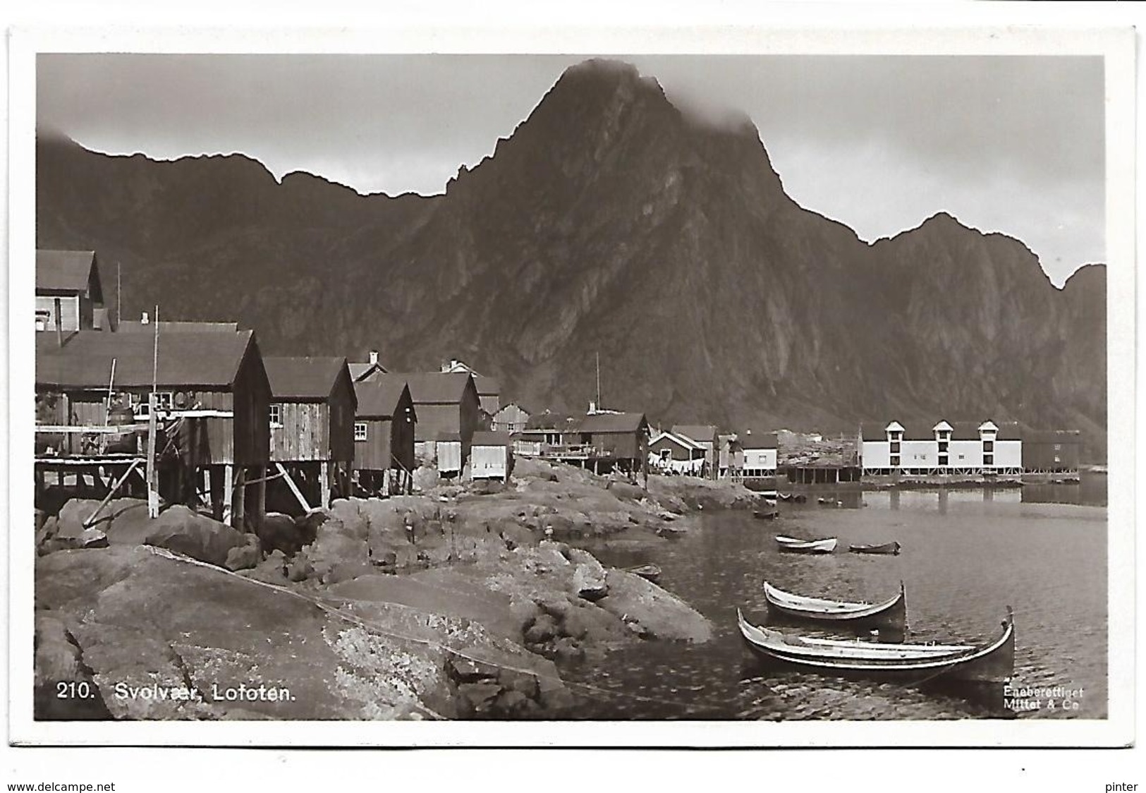 NORVEGE - Svolvaer - Lofoten - Noruega