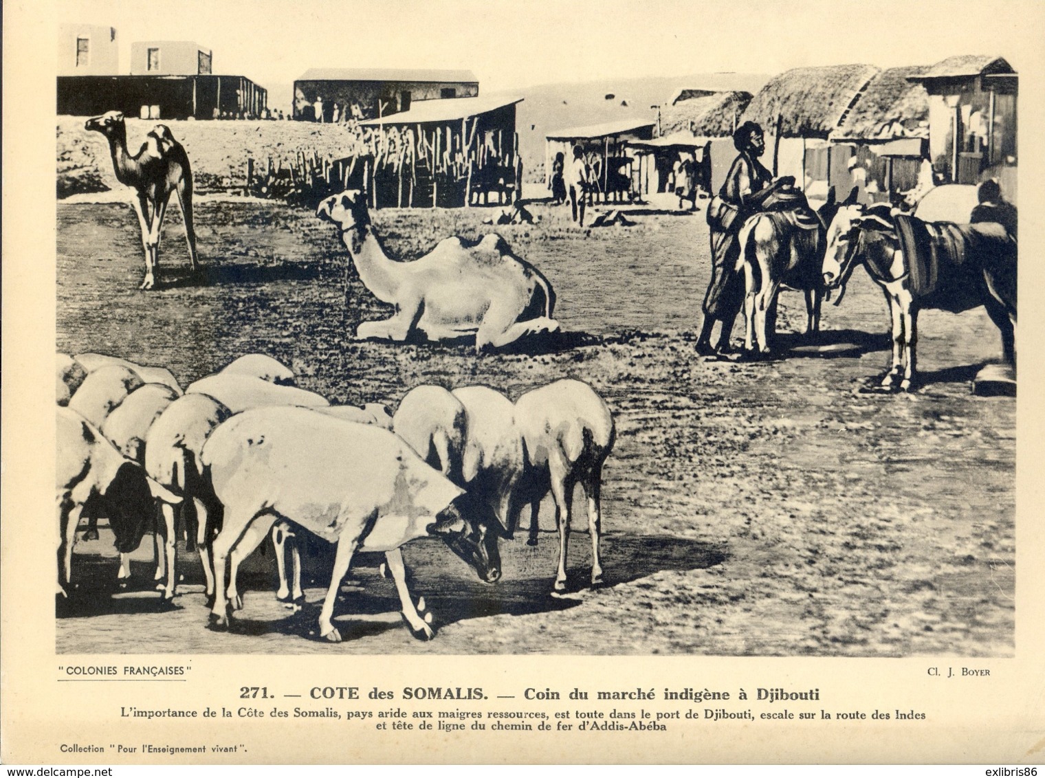 REF111019 COTE DES SOMALIS Coin Du Marché Indigène à Djibouti - Image éducative - History