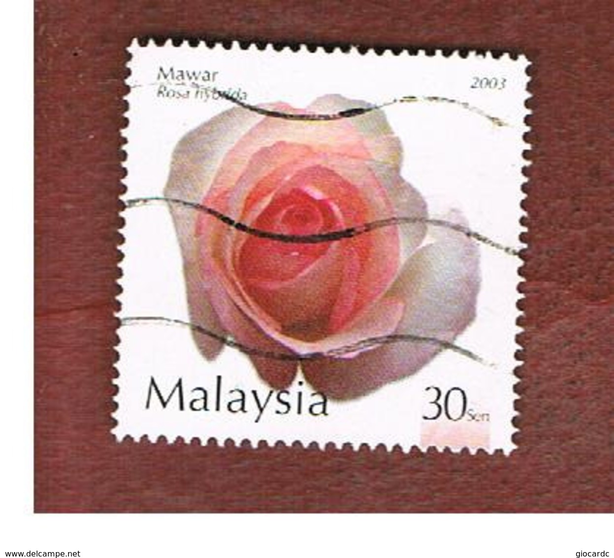 MALESIA (MALAYSIA)  -  SG 1120  -   2003  FLOWERS: PINK ROSA HYBRDA   -  USED ° - Malesia (1964-...)