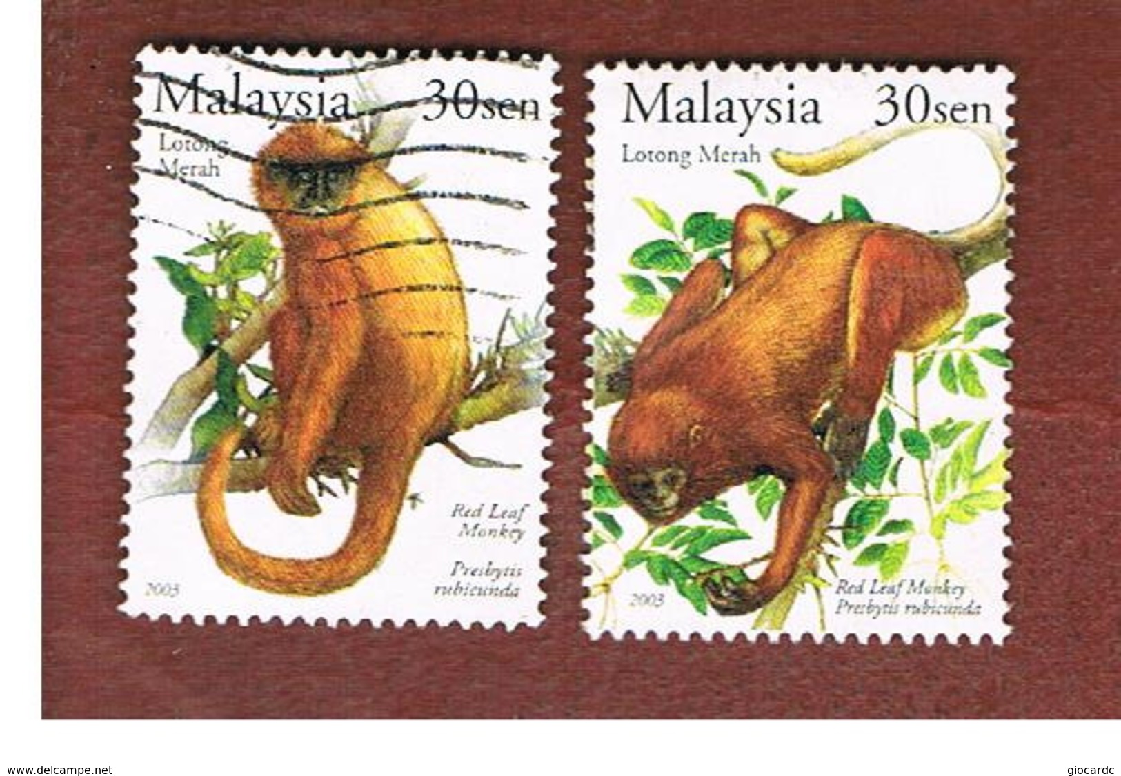 MALESIA (MALAYSIA)  -  SG 1177.1178 -   2003 ANIMALS: MONKEY -  USED ° - Malaysia (1964-...)