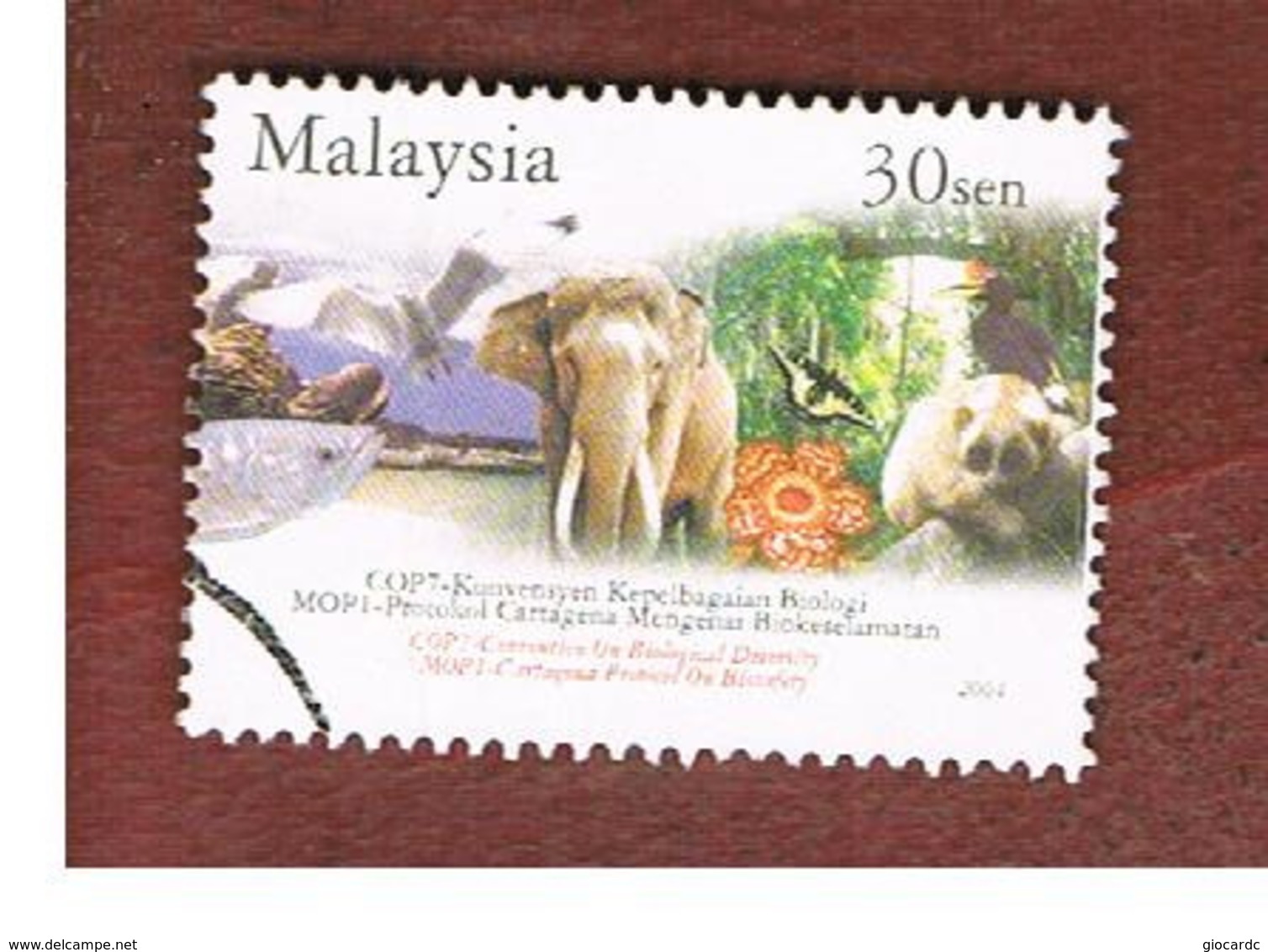 MALESIA (MALAYSIA)  -  SG 1186 -   2004  ENDANGERED ANIMALS & PLANTS: ELEPHANT   -  USED ° - Malesia (1964-...)