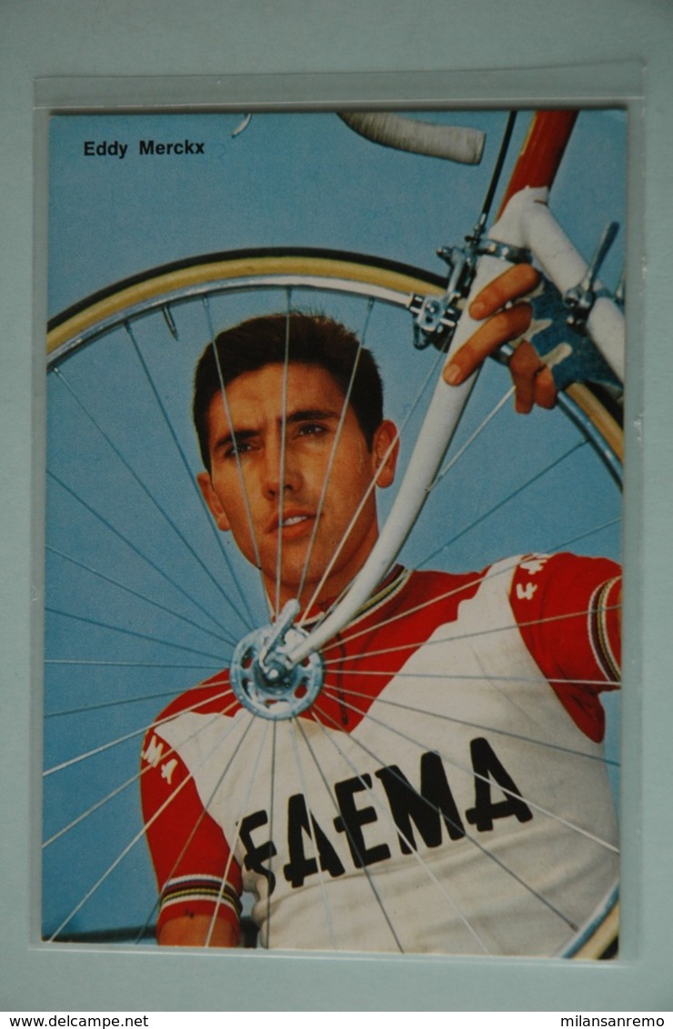 CYCLISME: CYCLISTE : EDDY MERCKX - Cyclisme