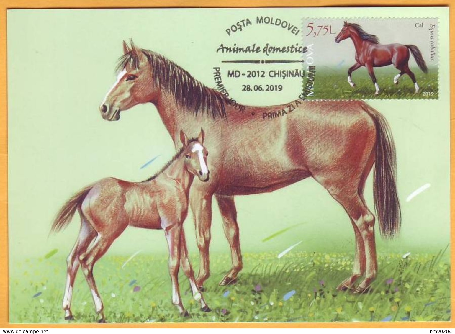 2019 Moldova Moldavie Fauna. Domestic Animals. Maxicard Horse. - Boerderij