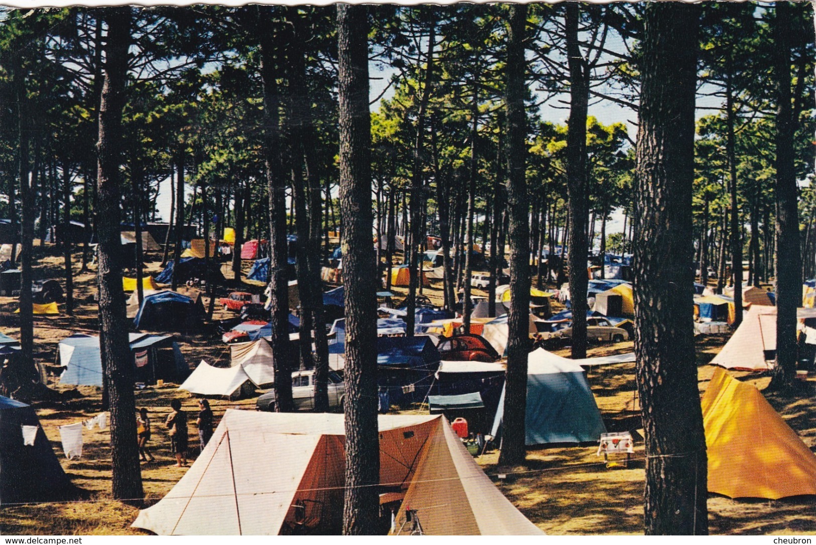 85. SAINT HILAIRE DE RIEZ.( ENVOYÉ DE). CAMPING EN VENDEE. ANNÉE 1965 + TEXTE - Saint Hilaire De Riez