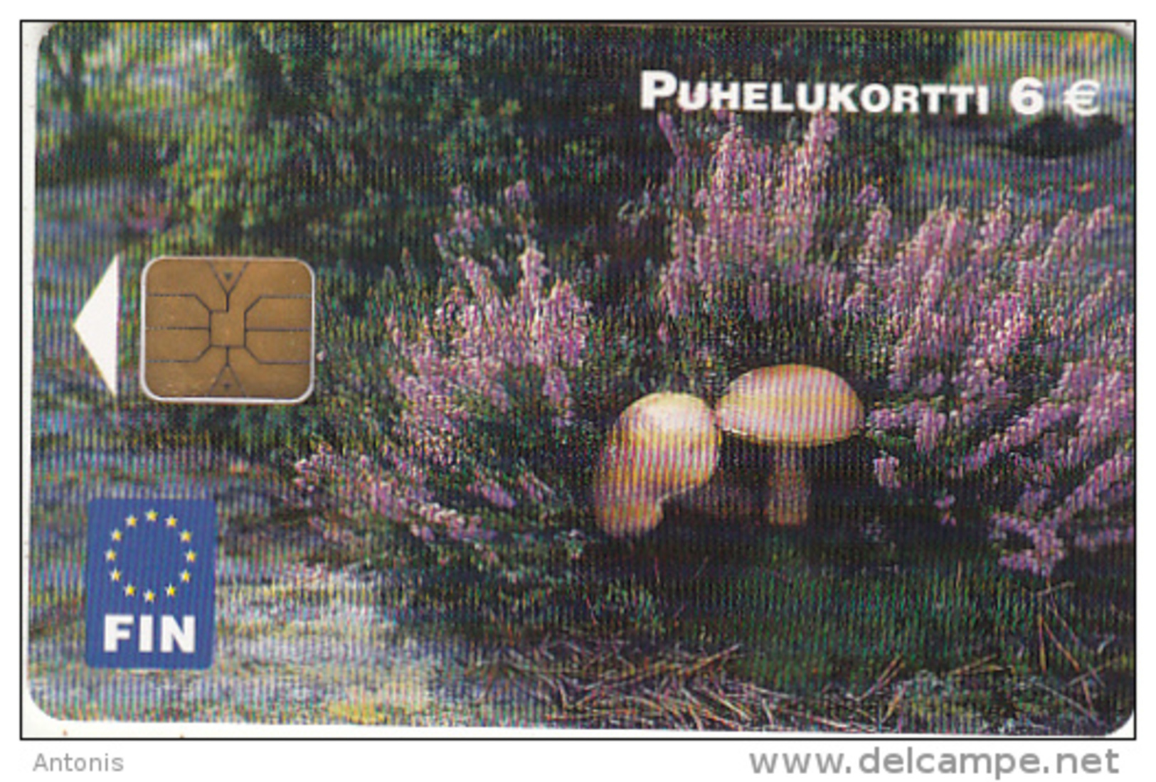 FINLAND - Mushrooms, FIN Telecard 6 Euro, Tirage 75000, 08/03, Used - Finnland