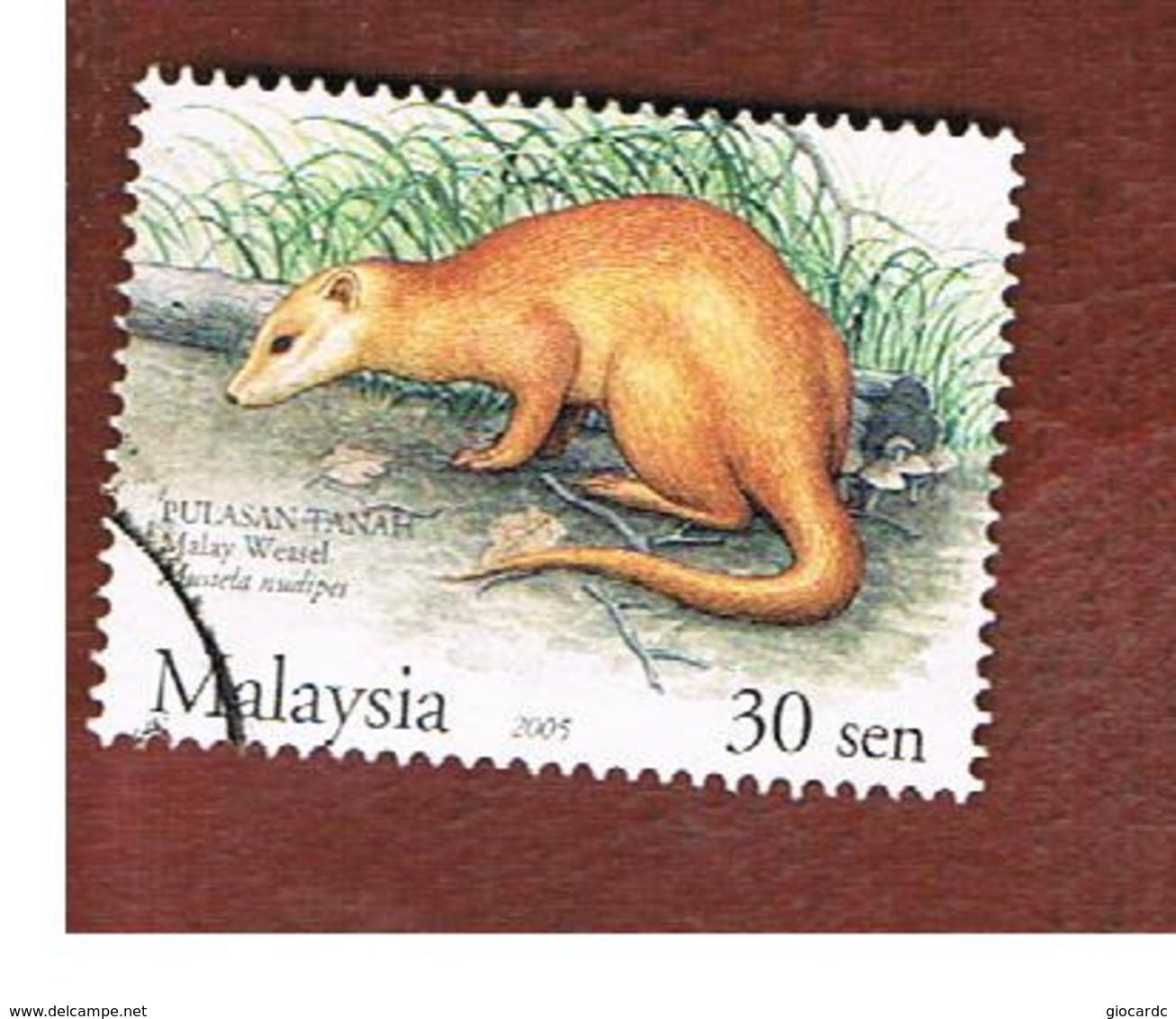 MALESIA (MALAYSIA)  -  SG 1282  -   2004  ANIMALS: MUSTELA NUDIPES  -  USED ° - Malesia (1964-...)