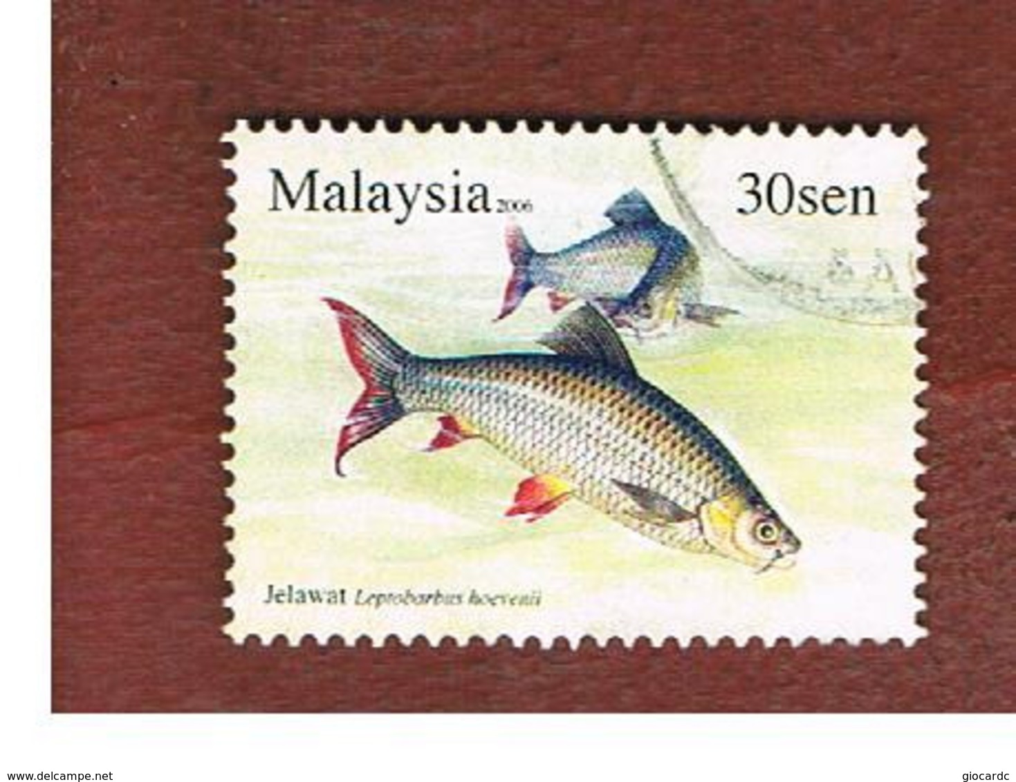 MALESIA (MALAYSIA)  -  SG 1333  -   2006 FISHES: HEVEN' S CARP  -  USED ° - Malesia (1964-...)