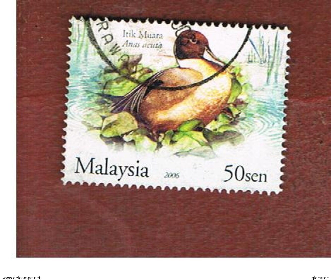 MALESIA (MALAYSIA)  -  SG 1318  -   2006 BIRDS: ANAS ACUTA  -  USED ° - Malesia (1964-...)