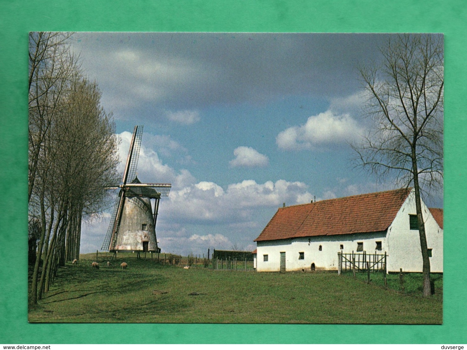 Belgique Markedaal Molen Ten Hengst - Maarkedal