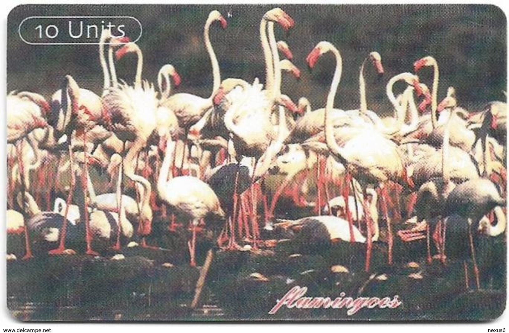 Tanzania - TTCL (Chip) - Flamingos - 10Units, Gem5 Red, 4 Lines Text, 2002, Used - Tanzania