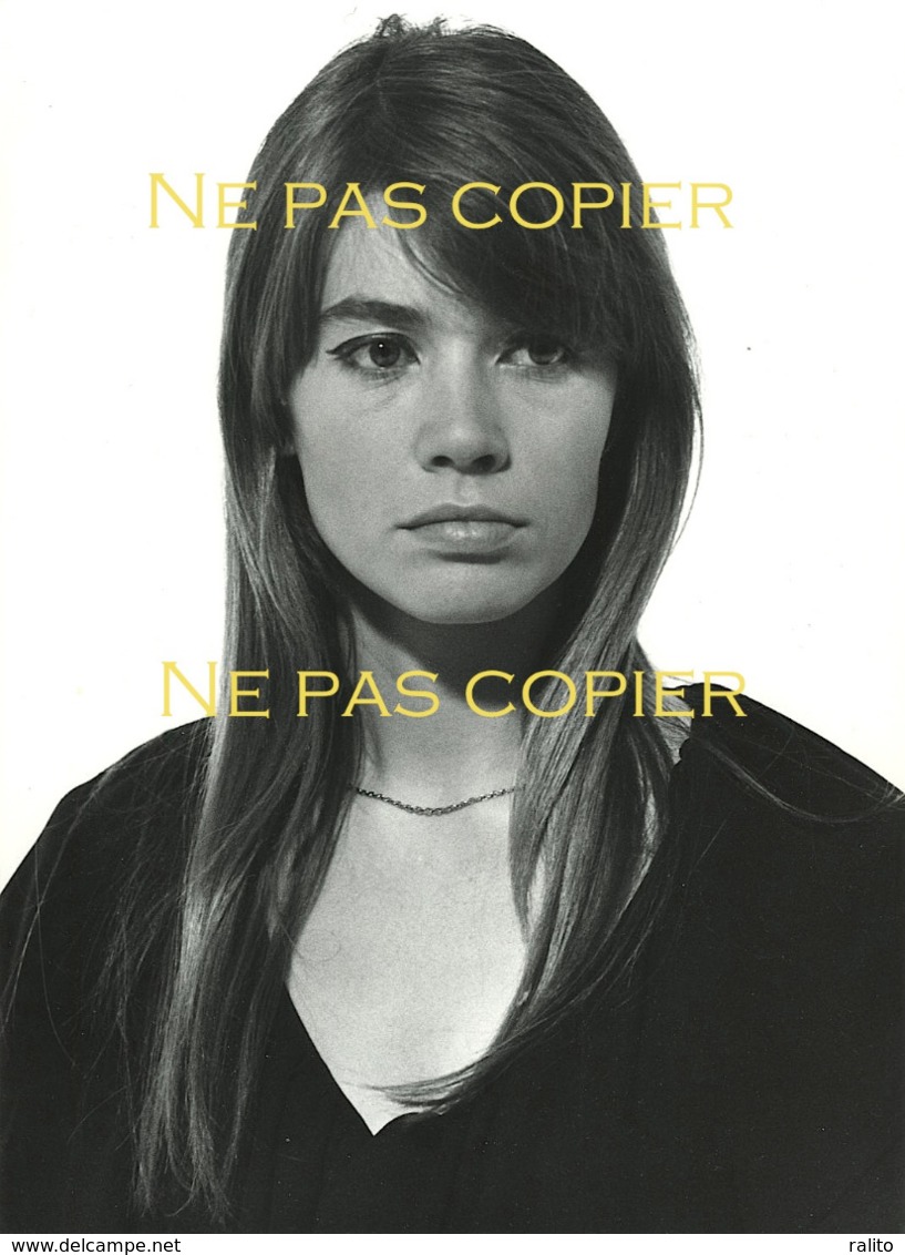 FRANÇOISE HARDY Vers 1965 Par Le Photographe Daniel VITTET 24 X 18 Cm - Célébrités