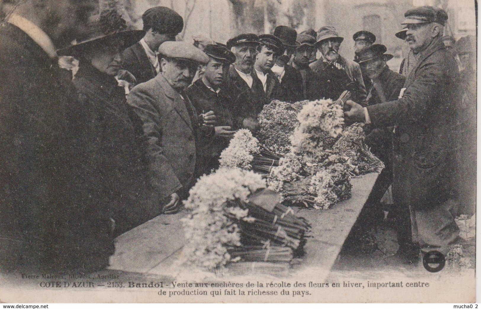 83 - BANDOL - VENTE AUX ENCHERES DE LA RECOLTE DE FLEURS EN HIVER - Bandol