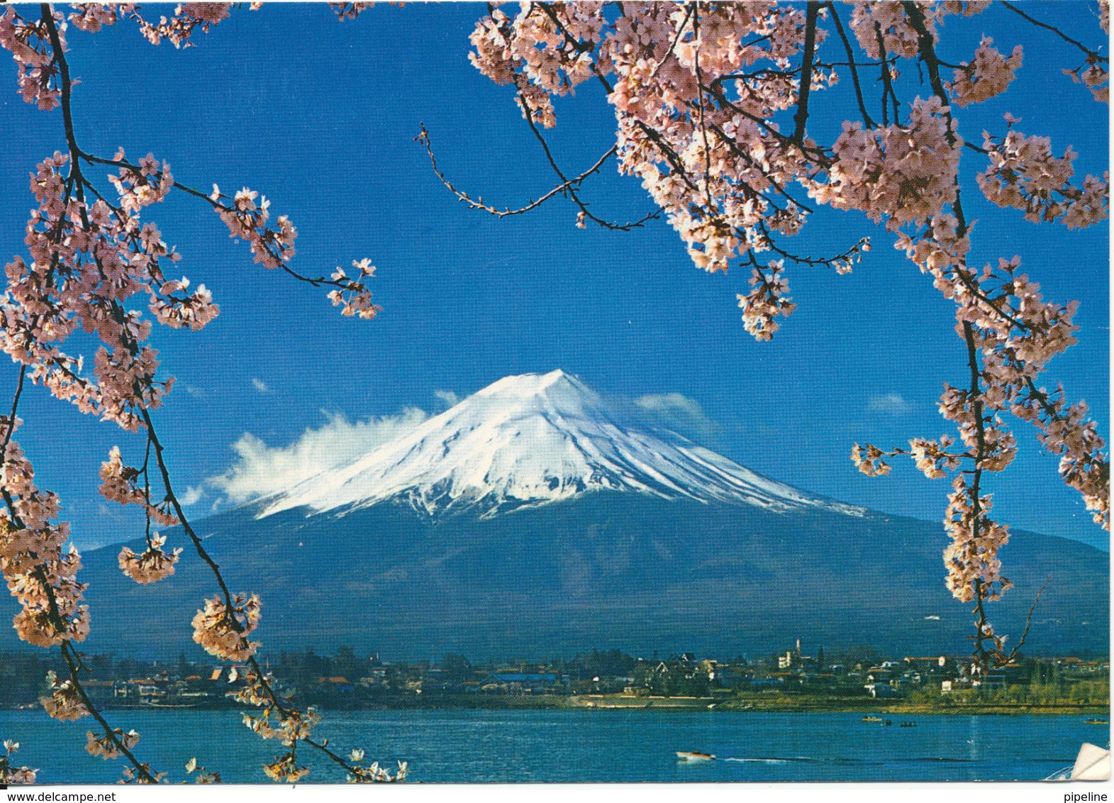 Japan Postcard Sent To Denmark 11-9-1973 (Mount Fuji And Cherry Blossoms Viewed From Kowaguchi Lake - Other & Unclassified