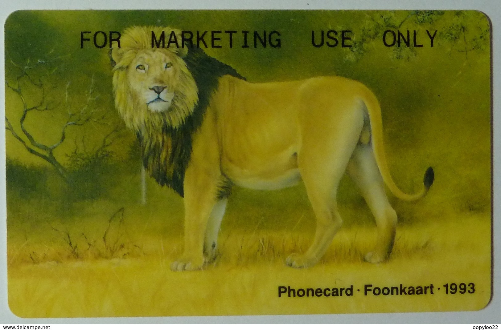 SOUTH AFRICA - Lion - R10 - SAF- 02 - Lion - For Marketing Use Only - Sudafrica