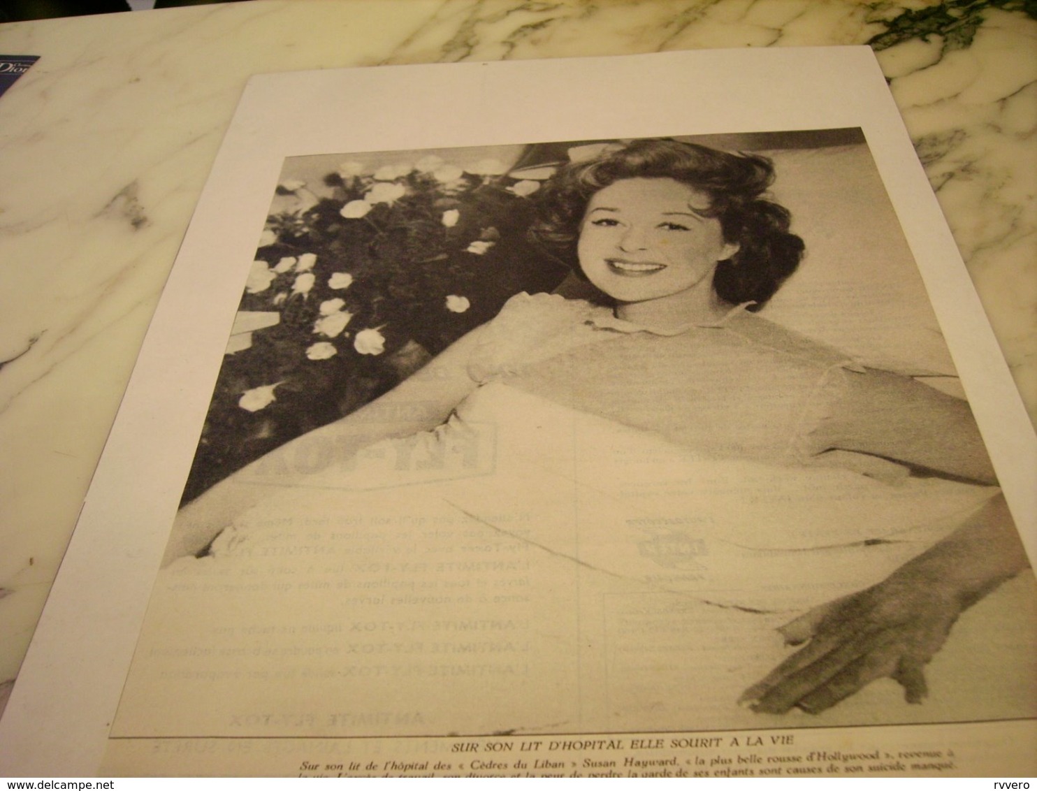 PHOTO LA BELLE ROUSSE SUSAN HAYWARD 1955 - Unclassified