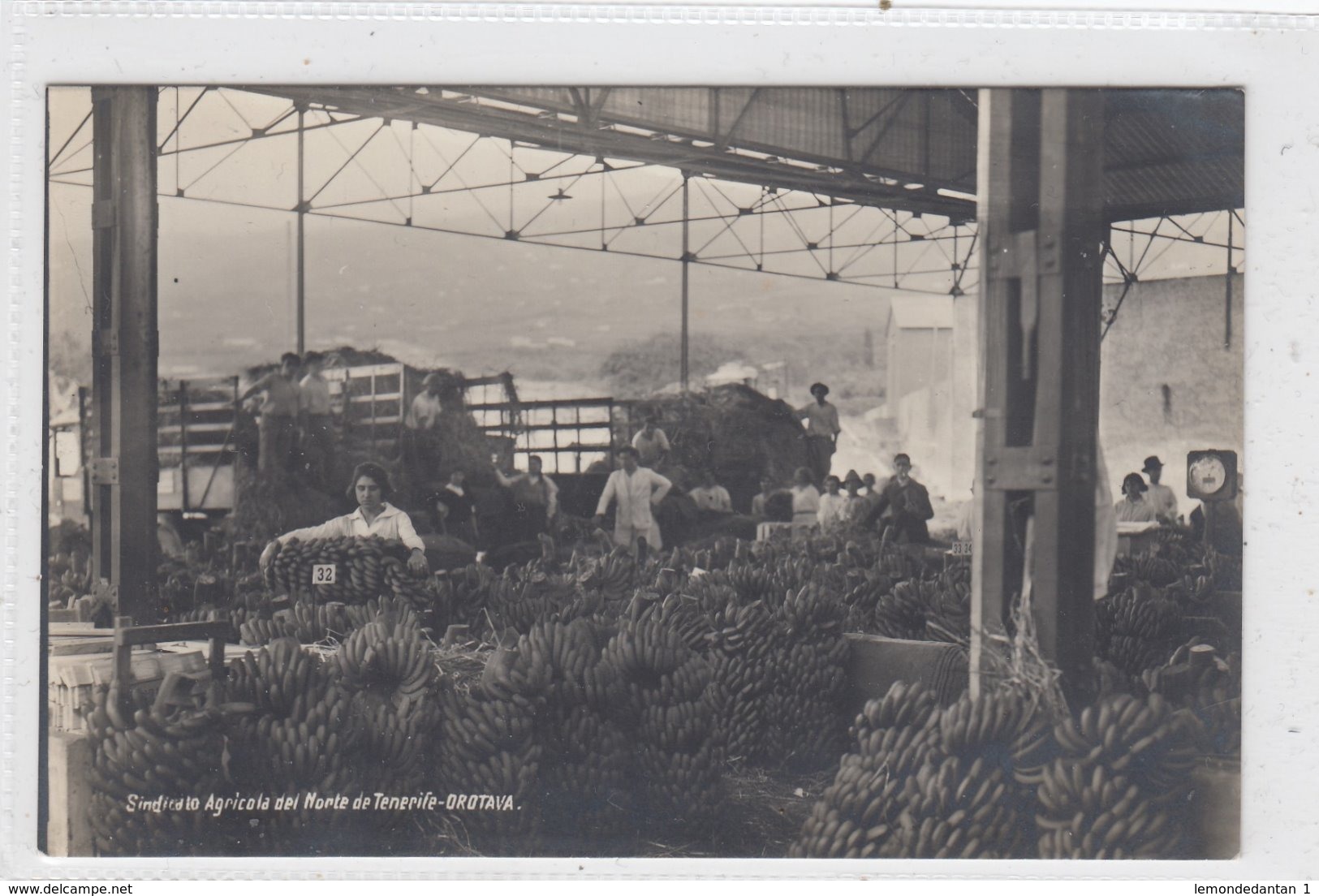 Sindicato Agricola Del Norte De Tenerife. Orotava. - Tenerife