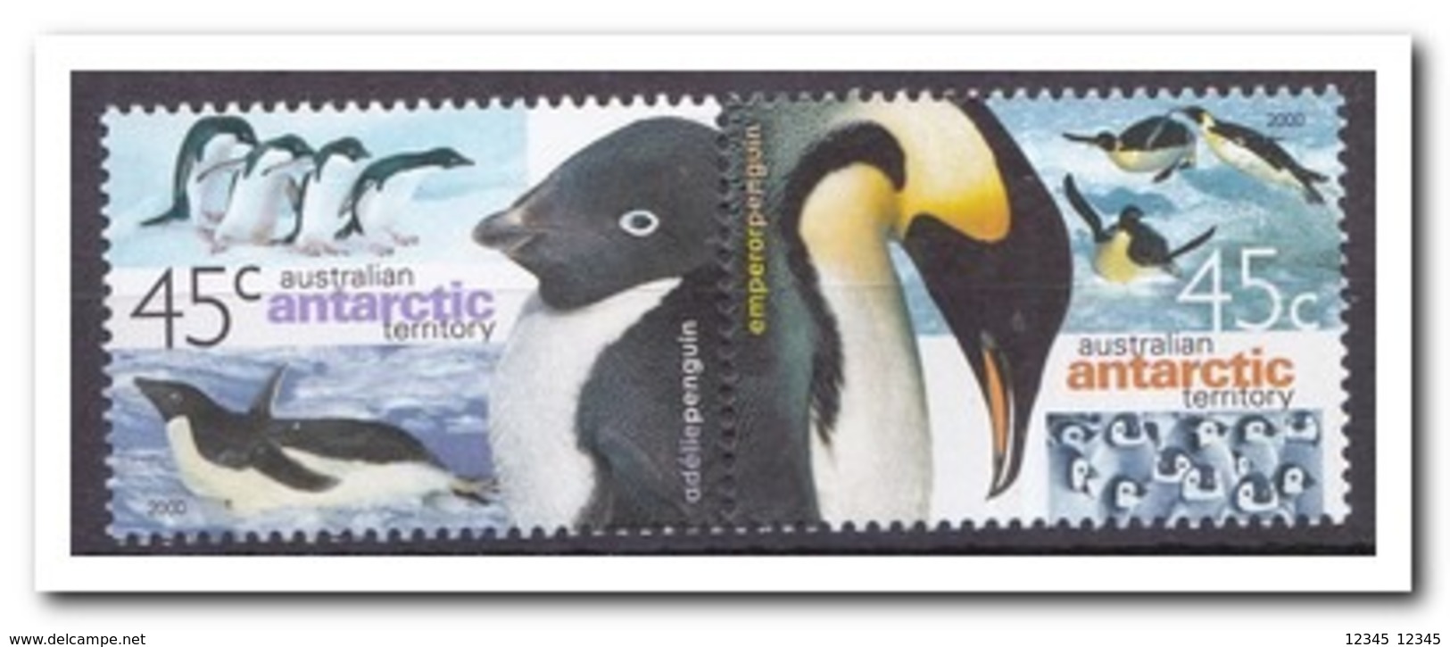 Australisch Antarctica 2000, Postfris MNH, Penguins, Birds - Unused Stamps