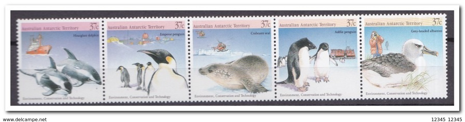 Australisch Antarctica 1988, Postfris MNH, Penguins, Birds - Ongebruikt