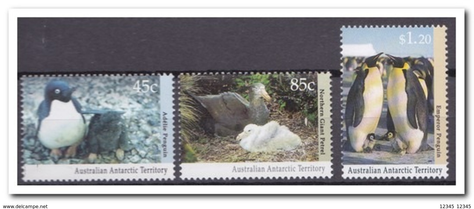 Australisch Antarctica 1992, Postfris MNH, Penguins, Birds - Unused Stamps