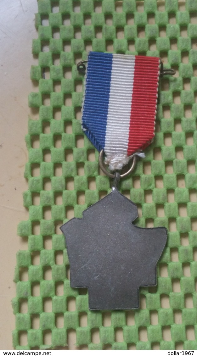 Medaille :Netherlands  - .Heidenmars , De Trekkers Holten  / Vintage Medal - Walking Association - Andere & Zonder Classificatie