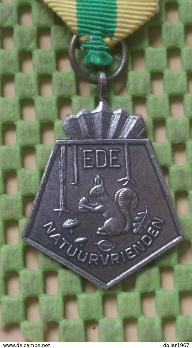 Medaille :Netherlands  -  Ede - Natuurvrienden  / Vintage Medal - Walking Association - Other & Unclassified