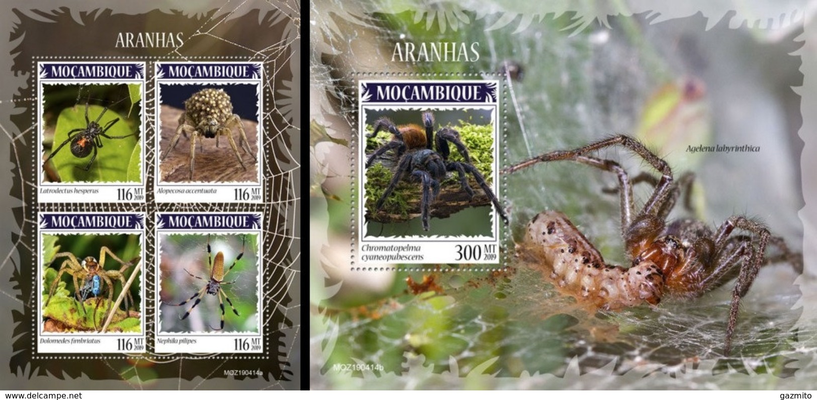 Mozambico 2019, Animals, Spider, 4val In BF +BF - Araignées