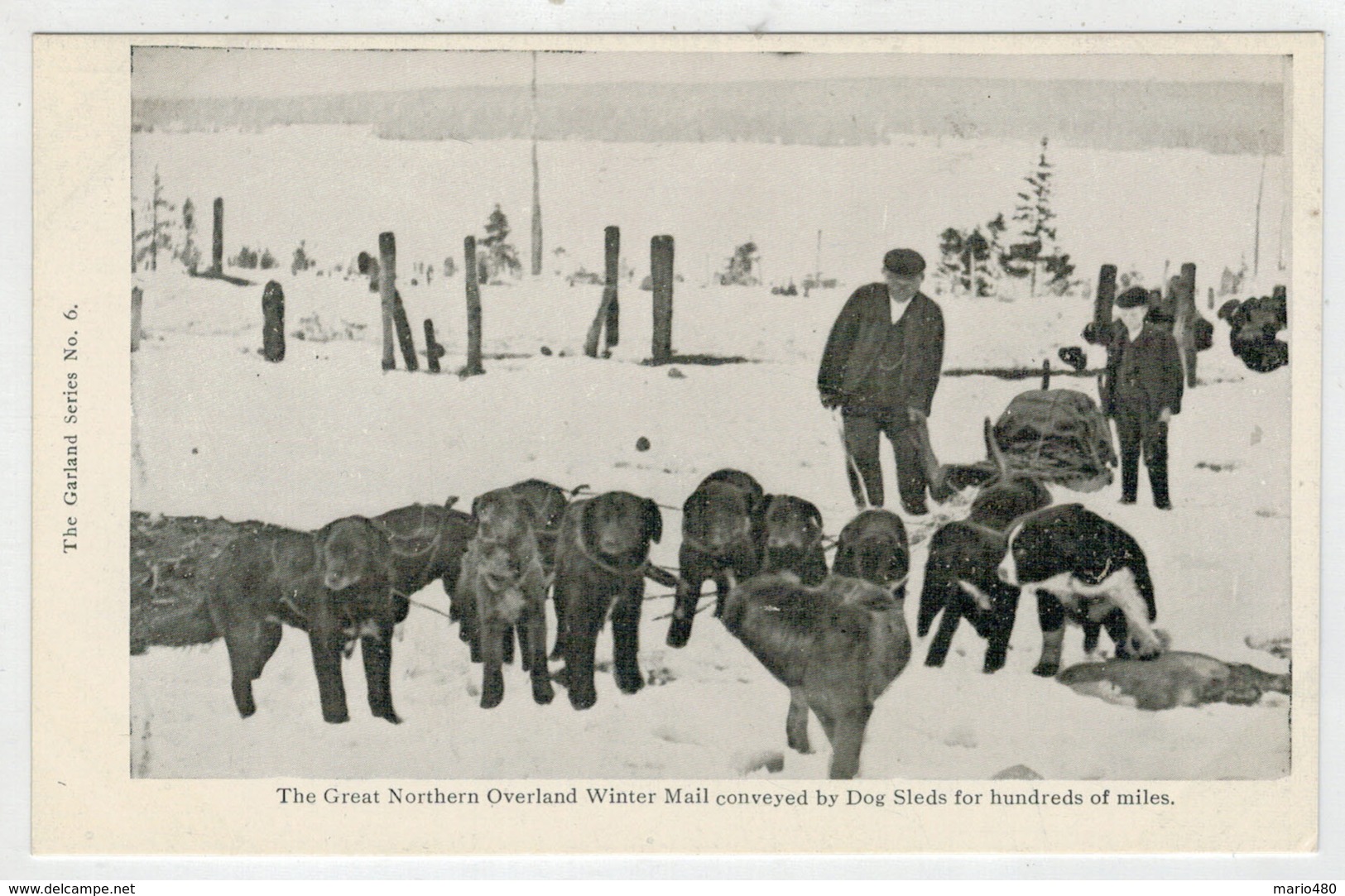 C.P.PICCOLA- THE  GREAT NORTHERN OVERLAND WINTER  MAIL CONVEYED BY DOG SLEDS.....       2  SCAN    (NUOVA) - Altri & Non Classificati