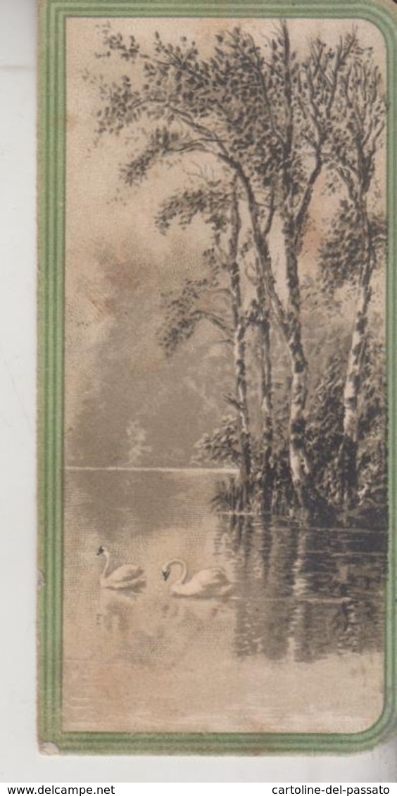 Calendarietto Antico 1906 Lago Con Cigni - Small : 1901-20