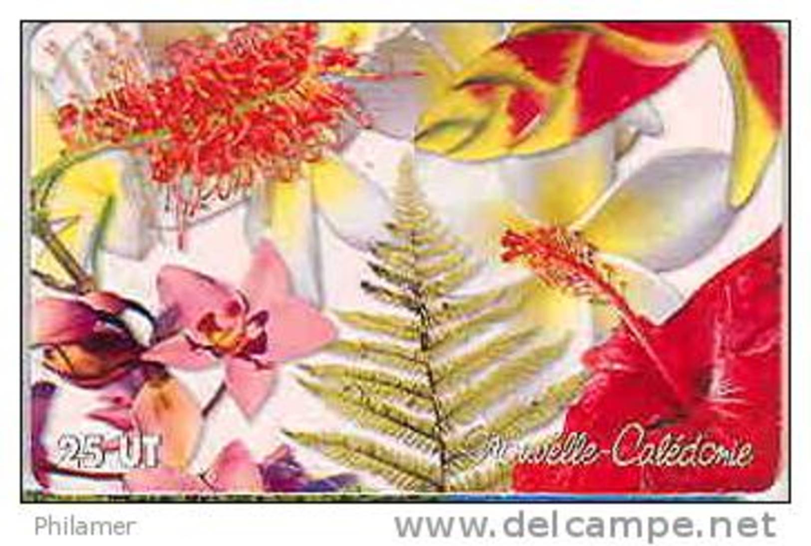 Nouvelle Caledonie Telecarte Fleur Hibiscus Petale TBE - Nouvelle-Calédonie