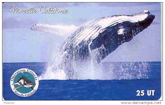 Nouvelle Caledonie Telecarte NC103 Baleine Cetace Côte 20, Ut. TBE - Nouvelle-Calédonie