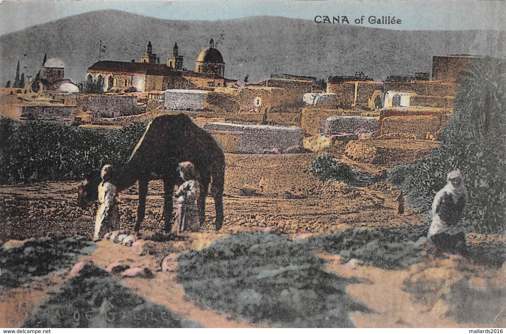 CANA OF GALILEE ~ AN OLD POSTCARD #97616 - Israel