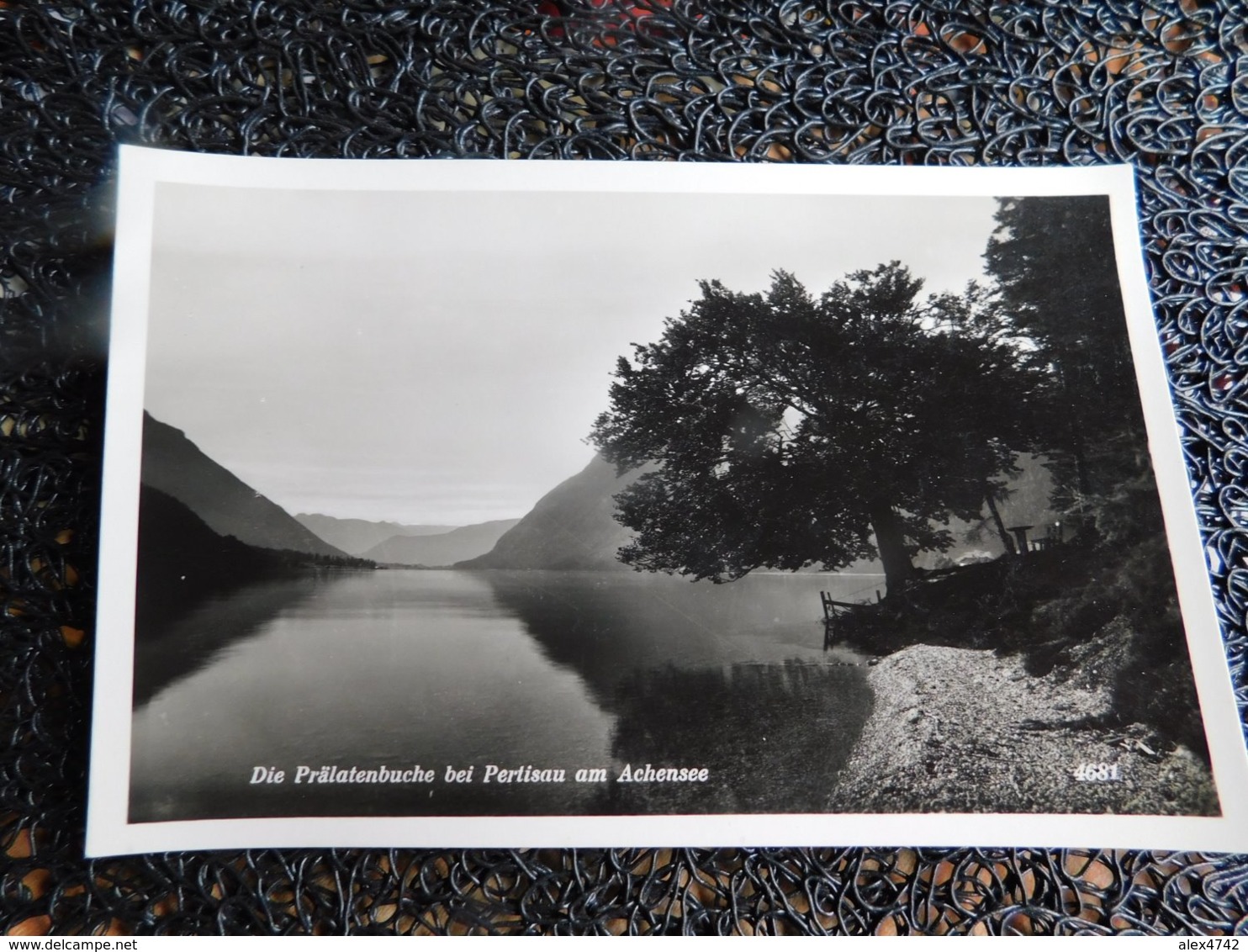 Die Prälatenbuche Bei Pertisau Am Achensee (D9) - Pertisau