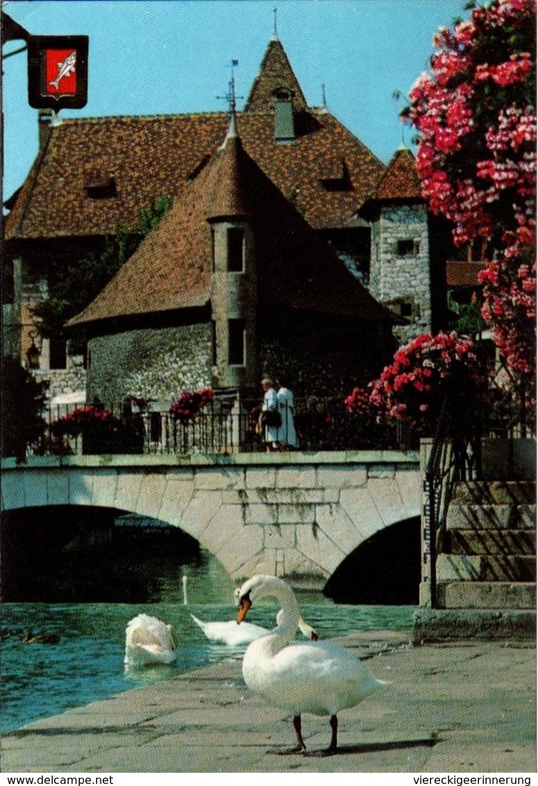 ! [74] CPM, Moderne Ansichtskarte, Annecy, Schwan, 1981, Frankreich - Annecy