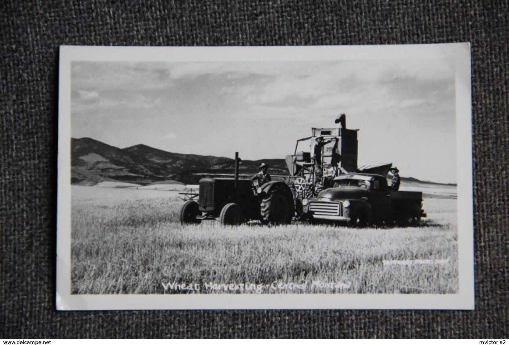 MONTANA Central - WHEAT HARVESTING - Autres & Non Classés