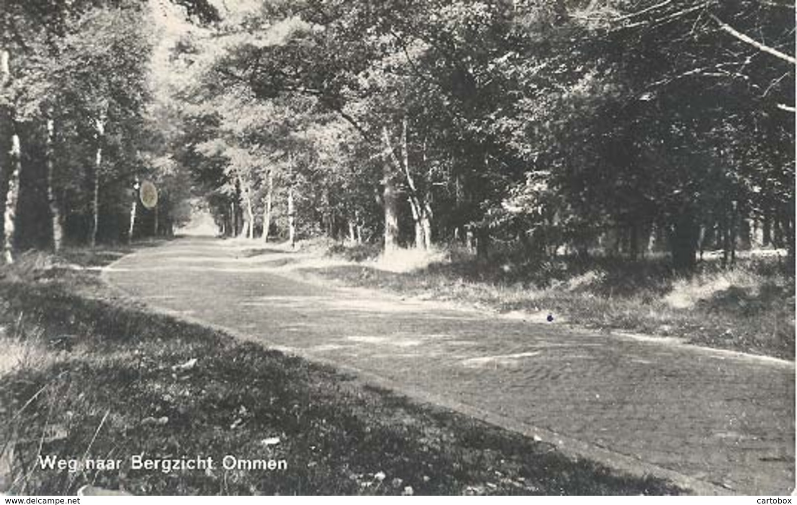 Ommen, Weg Naar Bergzicht - Ommen