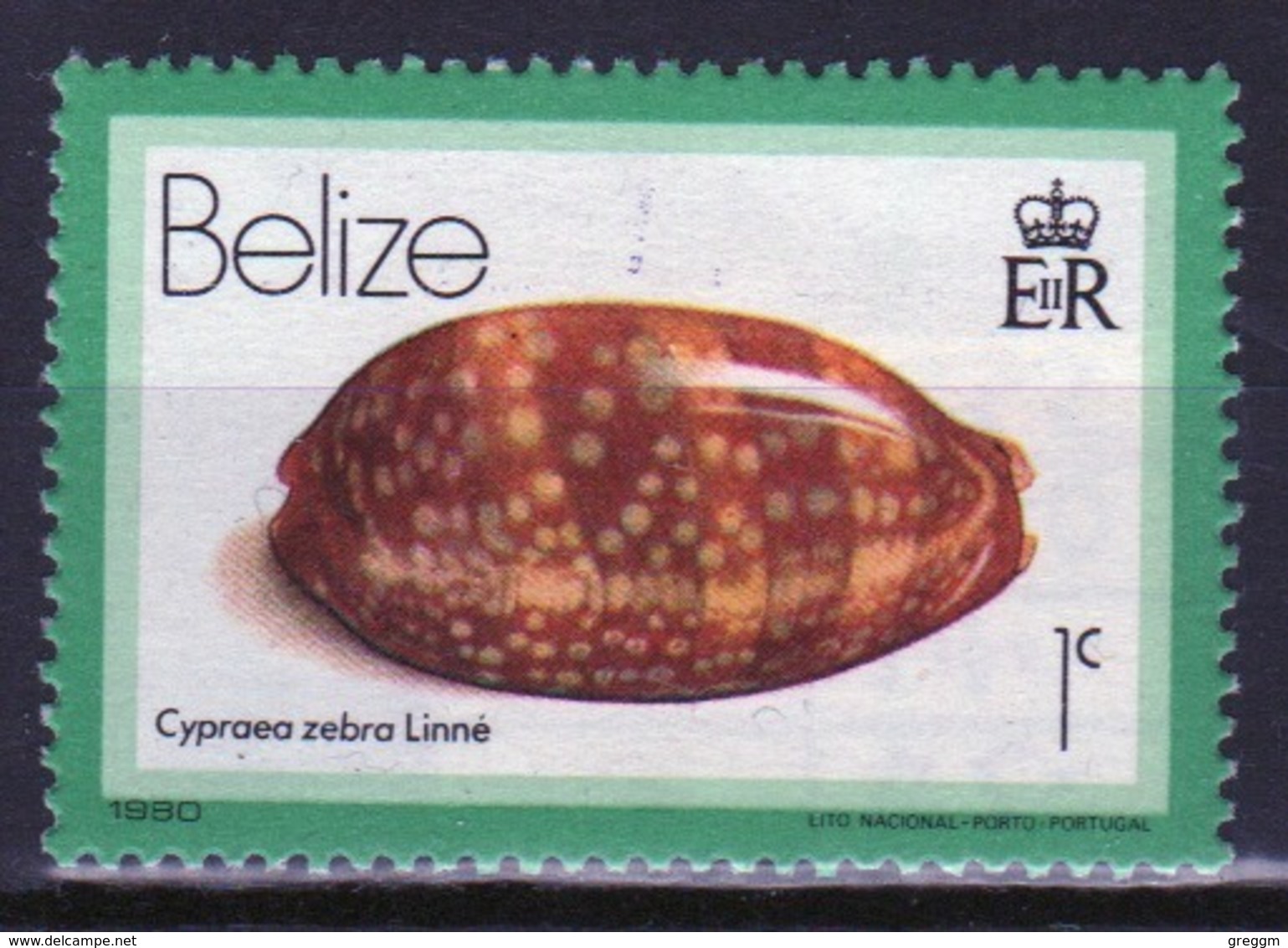 Belize 1980 Single 1 Cent Definitive Stamp From The Sea Shell Series. - Belize (1973-...)