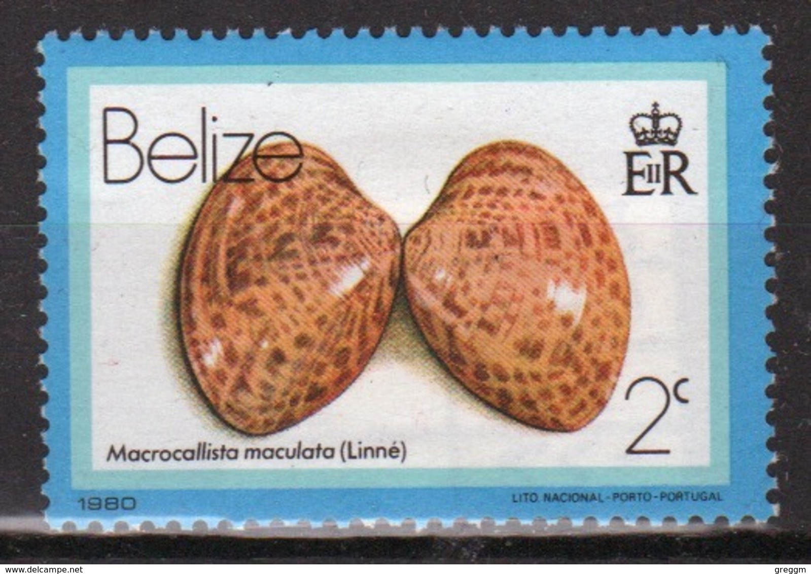 Belize 1980 Single 2 Cent Definitive Stamp From The Sea Shell Series. - Belize (1973-...)