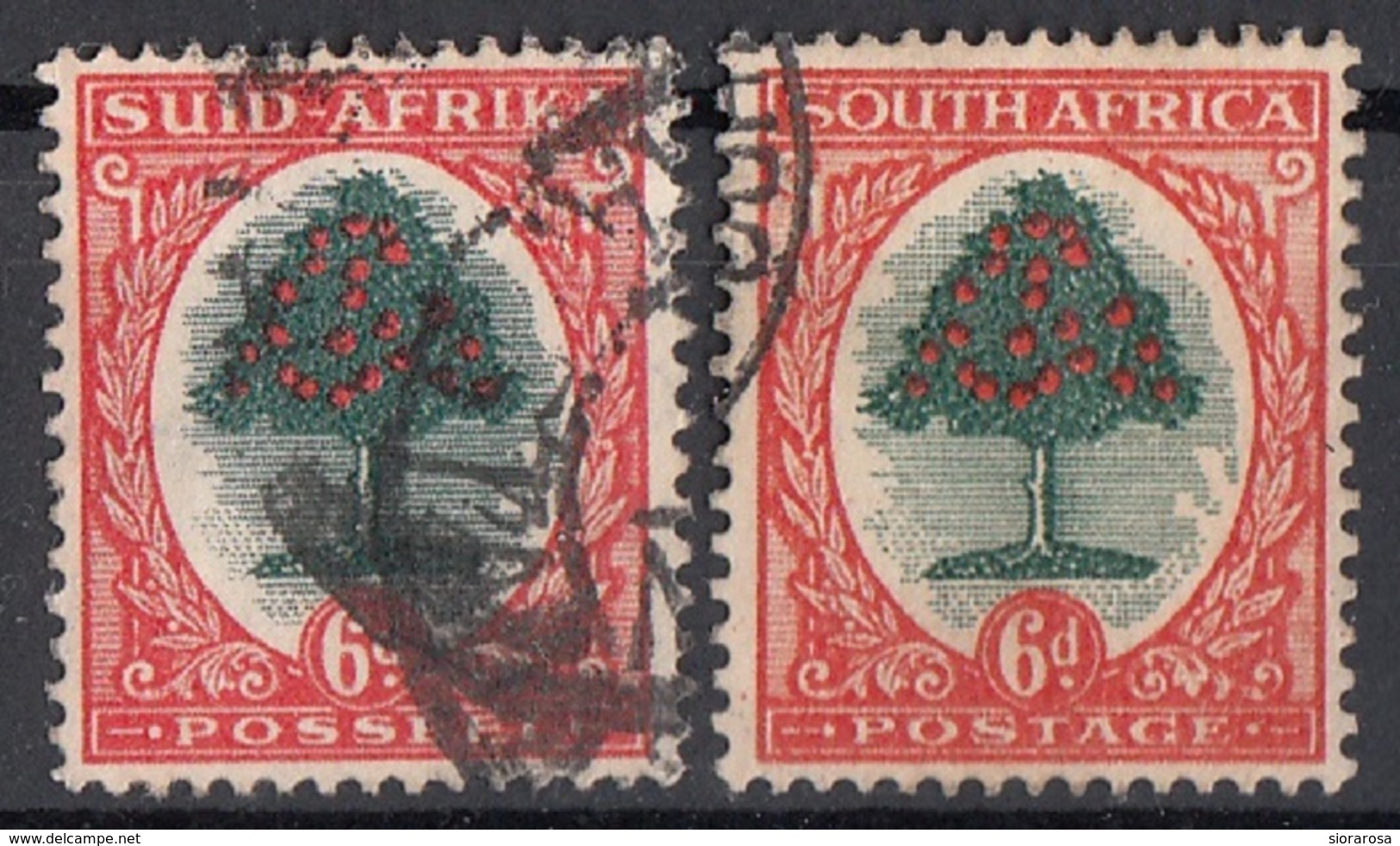 Sud Africa 1937 Sc. 59ab South Albero Di Arance Orange Tree (Africano/Inglese) - Oblitérés