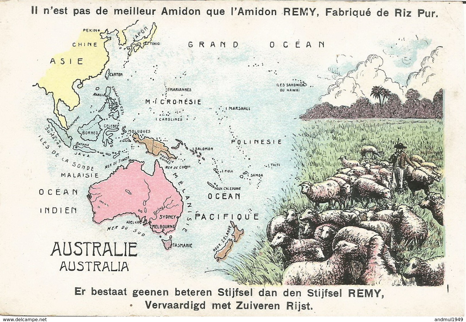 Publicité AMIDON REMY - Carte De Géographie De L'Australie - N'a Pas Circulé - Publicité