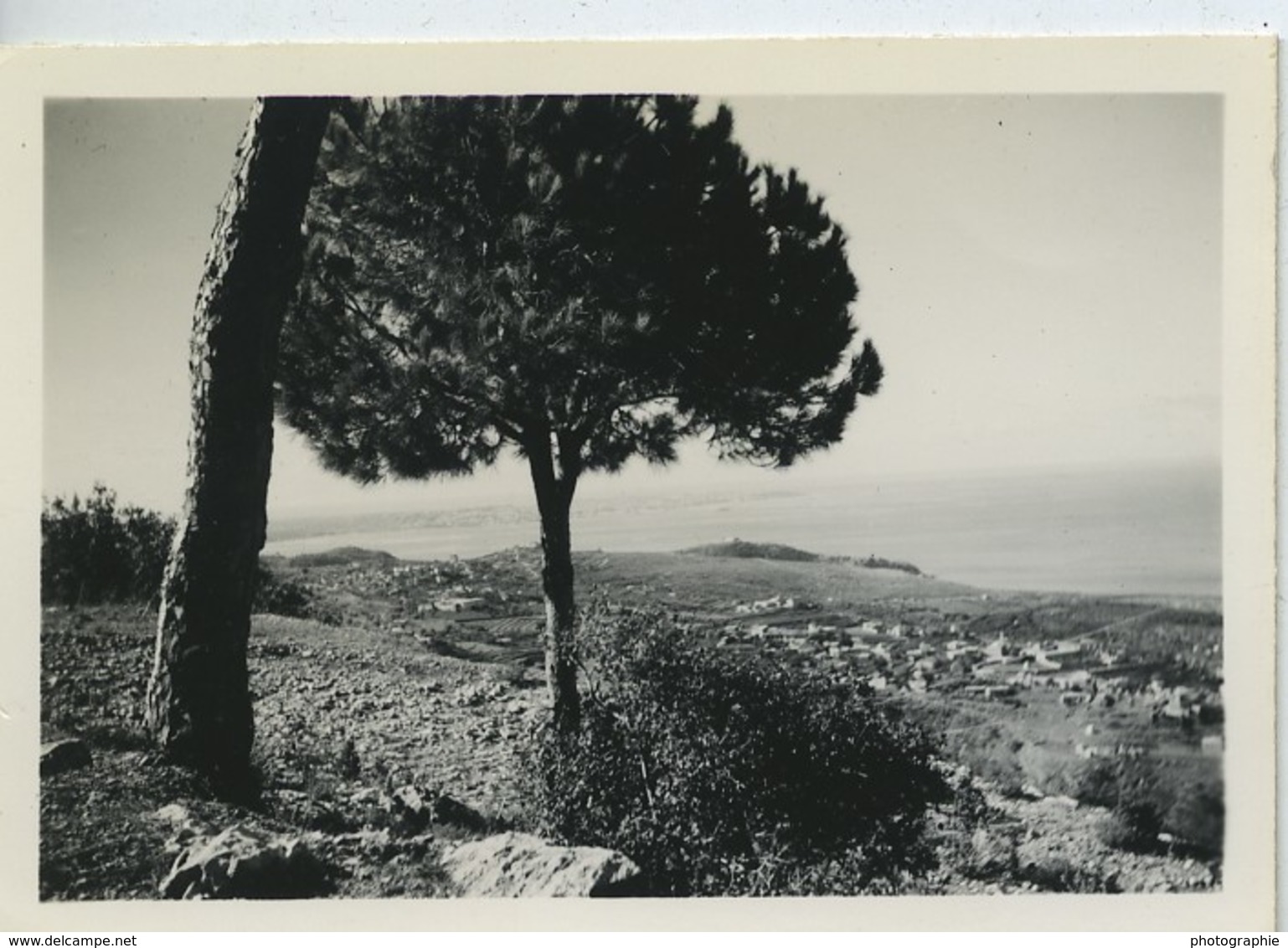 Tunisie Tunis Carthage Présence Militaire Française 12 anciennes Photos 1940