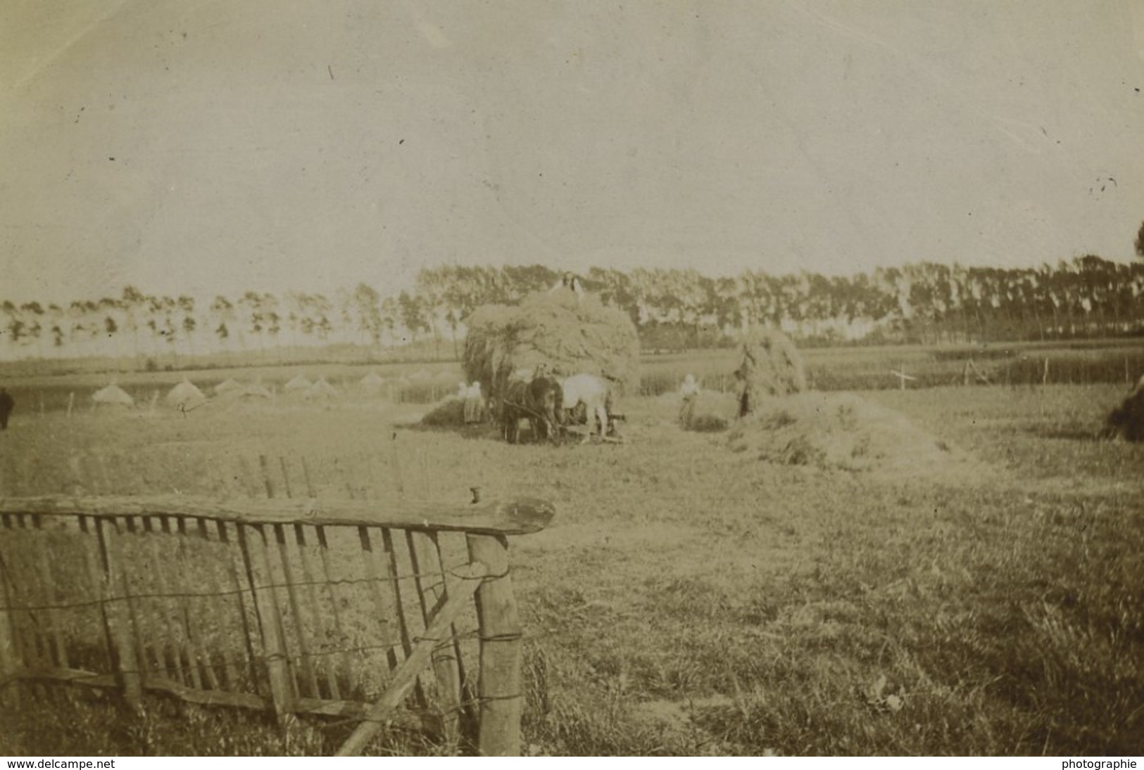 France Lille Lambersart Hippodrome et Campagne 9 anciennes photos amateur 1902