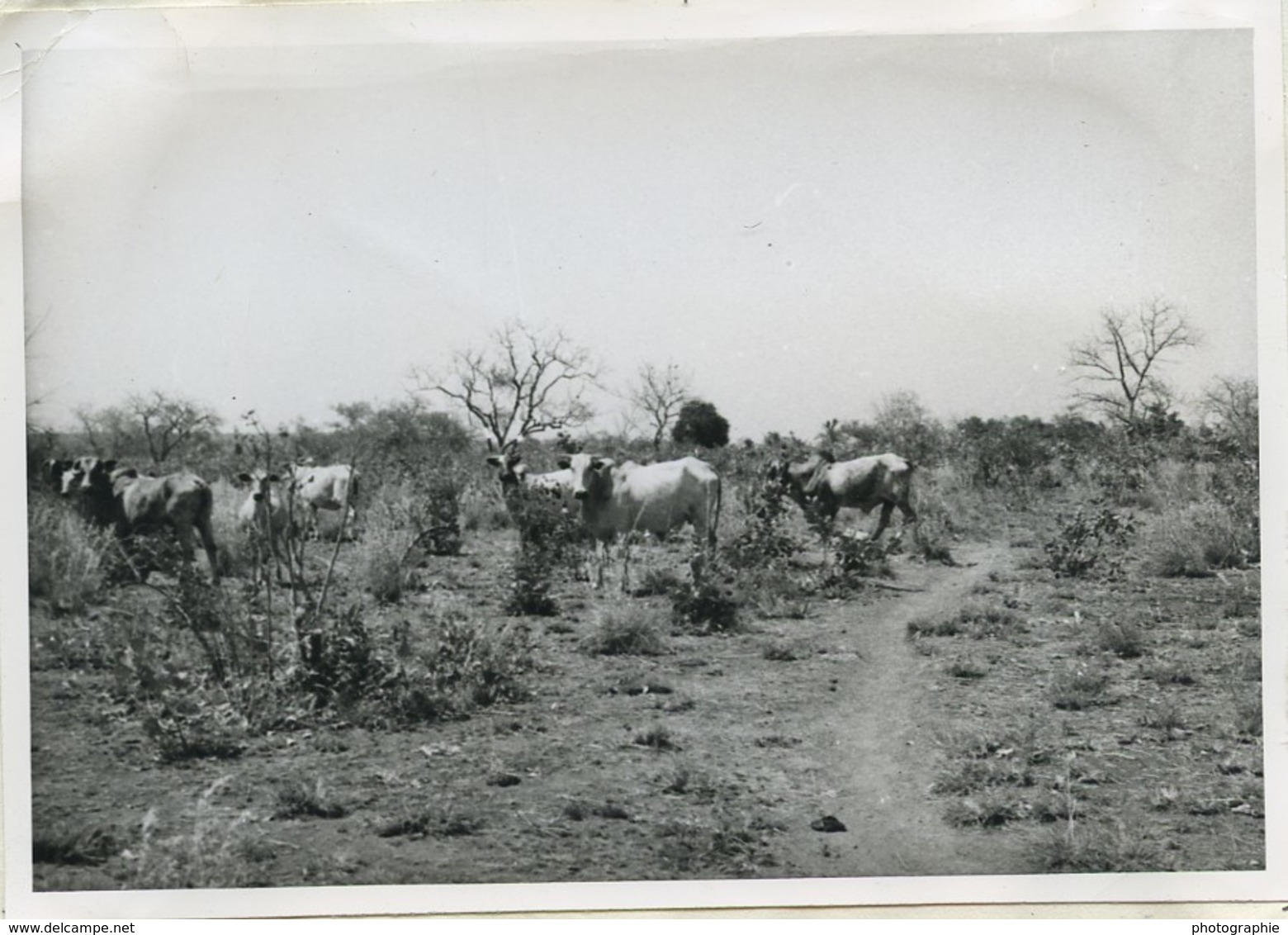 Burkina Faso Mission Cartry Remy en Pays Gourmantché 19 anciennes photos 1962