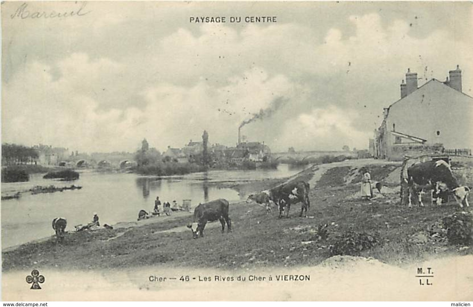 - Cher -ref-442- Vierzon - Les Rives Du Cher - Vaches -  Vachère - Petit Plan Lavandières - Lavandière - Metiers - - Vierzon