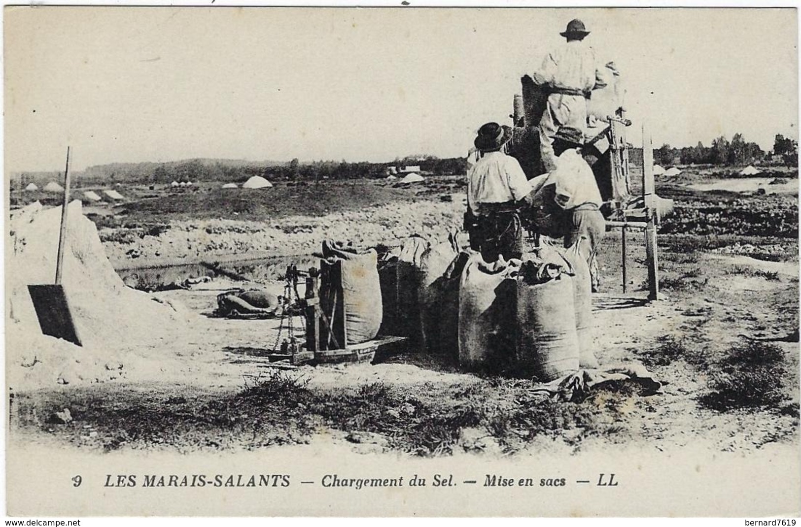 44 Les Marais Salants  Chargement Du Sel  Mise En Sacs - Other & Unclassified