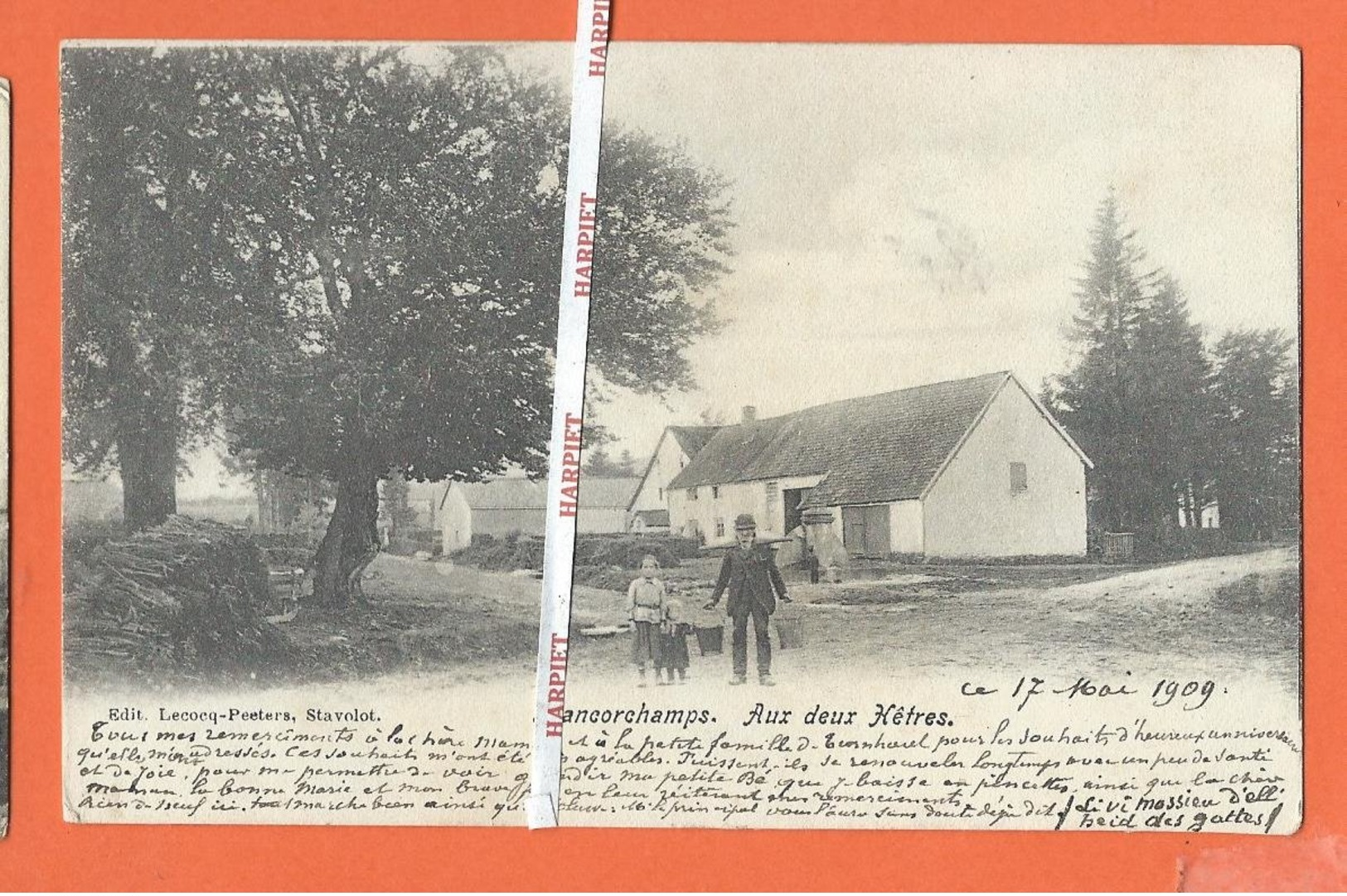 FRANCORCHAMPS  -  Magnifique lot de 36  cartes postales anciennes