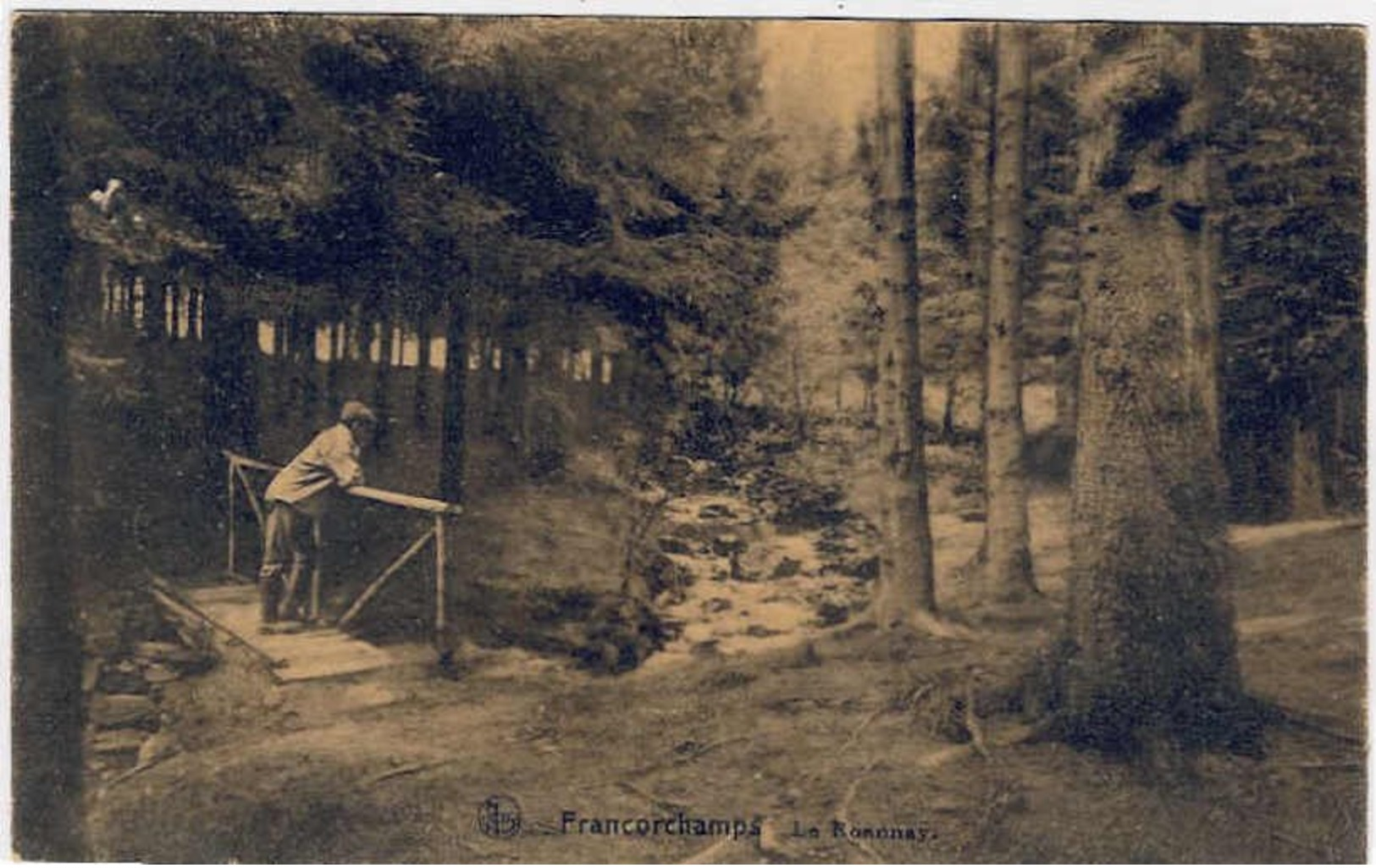 FRANCORCHAMPS  -  Magnifique lot de 36  cartes postales anciennes