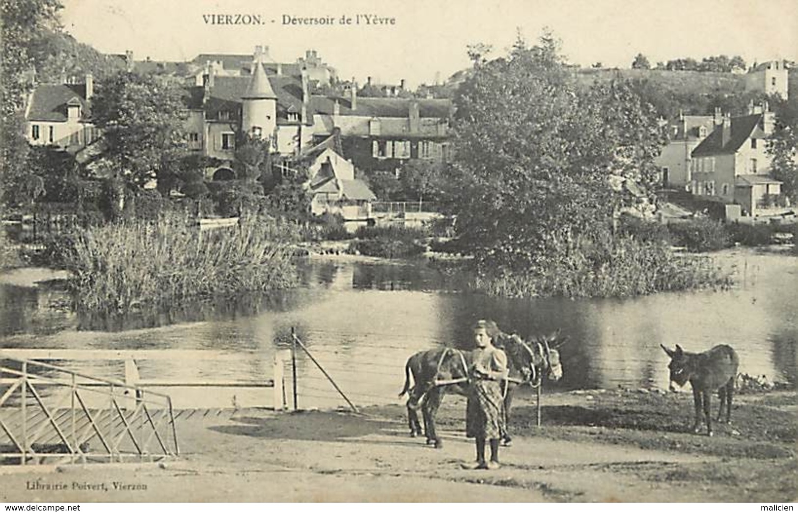 - Cher -ref-580- Vierzon - Deversoir De L Yèvre - Fillette Et ânes - âne - Carte Bon Etat - - Vierzon