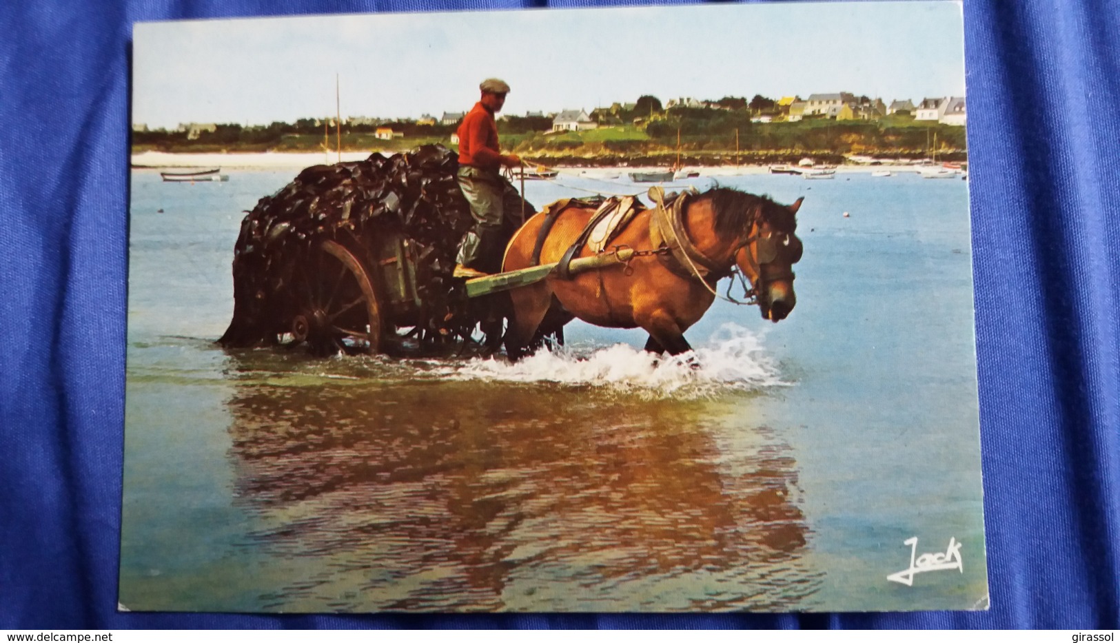 CPSM CHEVAL ATTELAGE CHARRETEE DE GOEMON COULEURS DE BRETAGNE ED JACK METIER DE LA MER - Pêche