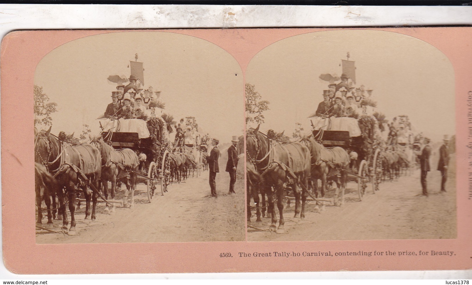 1887 / KILBURN 4569  / THE GREAT TALLY HO CARNIVAL / PRIZE FOR BEAUTY - Photos Stéréoscopiques