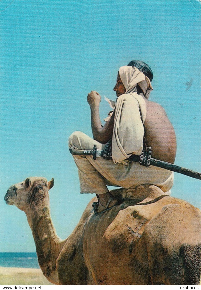 ETHIOPIA - Camel Driver 1967 - Massawa - 13 Months Of Sunshine Edition - Ethiopië
